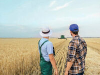 Le bail rural dans le monde agricole